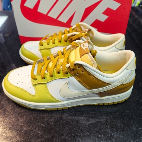 Nike Dunk Low Retro \